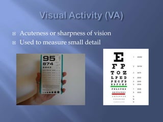  Acuteness or sharpness of vision
Used to measure small detail