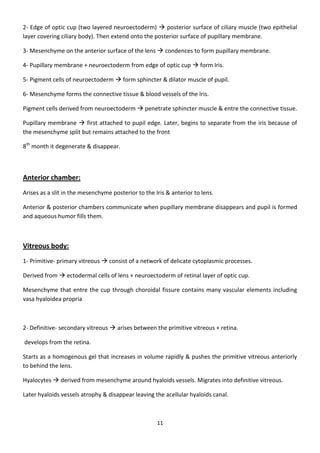 Eye Embryology- basic (my notes)