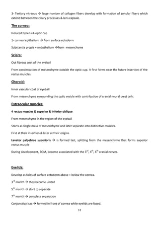 Eye Embryology- basic (my notes)