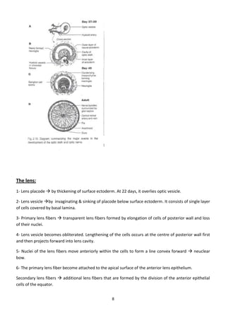 Eye Embryology- basic (my notes)