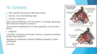 10. Epistaxis
 Well supplied vasculature underlying mucosa
 Dryness: nose is humidifying organ
 Anterior vs posterior
-Most anterior bleeding is from the septum, in younger age groups.
Self limited and respond to pressure
-Most posterior nosebleeds are in older population, and are more
serious
 Diagnosis
-Laterality: unilateral can be either anterior or posterior, bilateral
usually means posterior
-Response to compression: Anterior bleeding responds to septal
compression
-Severity?
 