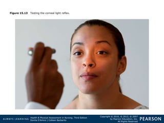 Light Perception Test Positive eye examination.ppt