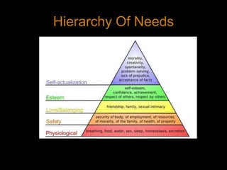 Hierarchy Of Needs14