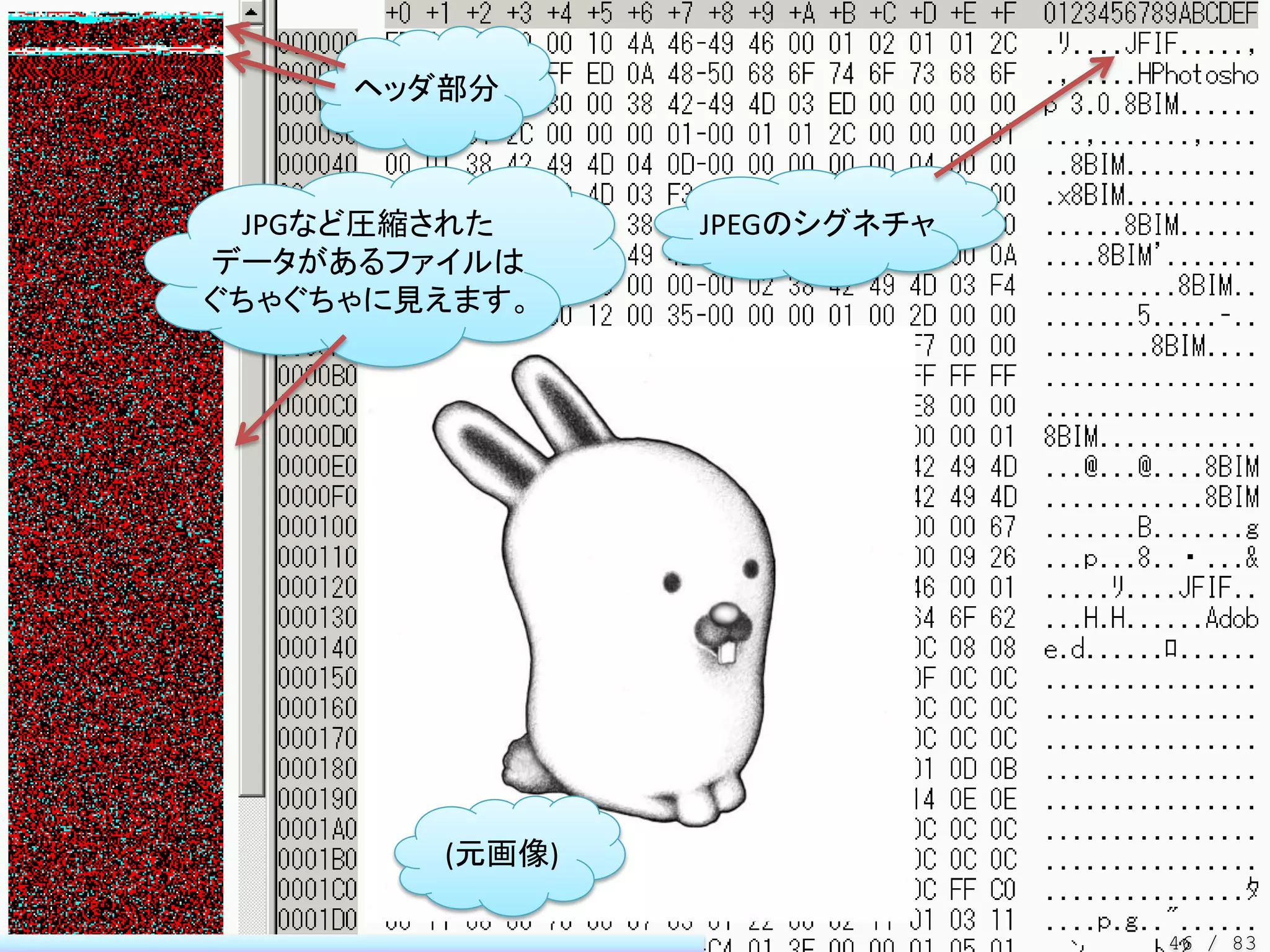 ヘッダ部分



 JPGなど圧縮された           JPEGのシグネチャ
データがあるファイルは
ぐちゃぐちゃに見えます。




                jpg
        (元画像)

                                   46 / 83
 