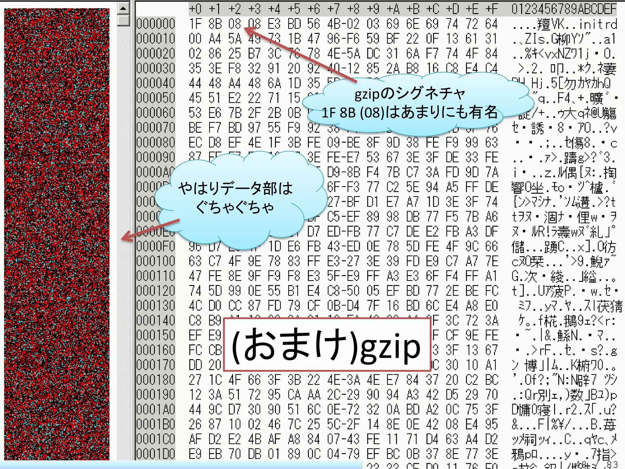 gzipのシグネチャ
           1F 8B (08)はあまりにも有名



やはりデータ部は
 ぐちゃぐちゃ




   (おまけ)gzip

                                48 / 83
 
