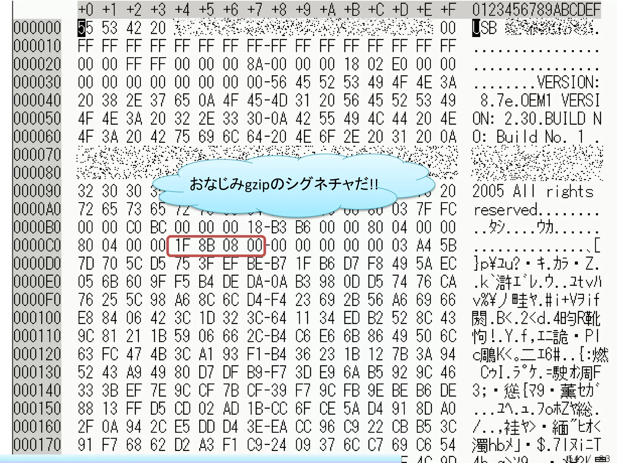 おなじみgzipのシグネチャだ!!




                    54 / 83
 