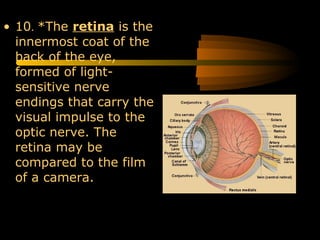 • 10. *The retina is the
innermost coat of the
back of the eye,
formed of light-
sensitive nerve
endings that carry the
visual impulse to the
optic nerve. The
retina may be
compared to the film
of a camera.
 