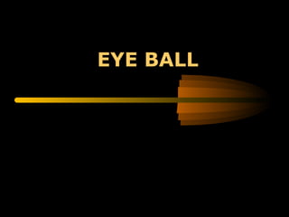 EYE BALL
 