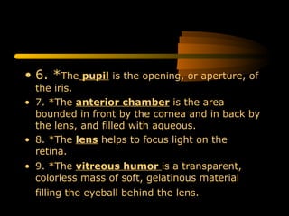 • 6. *The pupil is the opening, or aperture, of
the iris.
• 7. *The anterior chamber is the area
bounded in front by the cornea and in back by
the lens, and filled with aqueous.
• 8. *The lens helps to focus light on the
retina.
• 9. *The vitreous humor is a transparent,
colorless mass of soft, gelatinous material
filling the eyeball behind the lens.
 