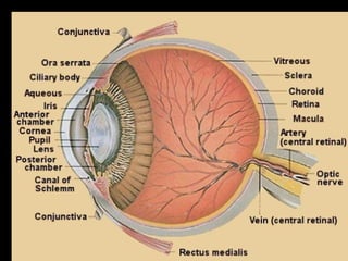 Eyelect1.html usha kannan