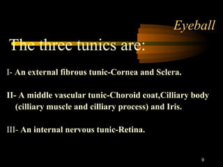 9
Eyeball
The three tunics are:
I- An external fibrous tunic-Cornea and Sclera.
II- A middle vascular tunic-Choroid coat,Cilliary body
(cilliary muscle and cilliary process) and Iris.
III- An internal nervous tunic-Retina.
 