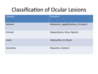 Comprehensive Overview of Eye Lesions in Leprosy with Clinical Insights ...