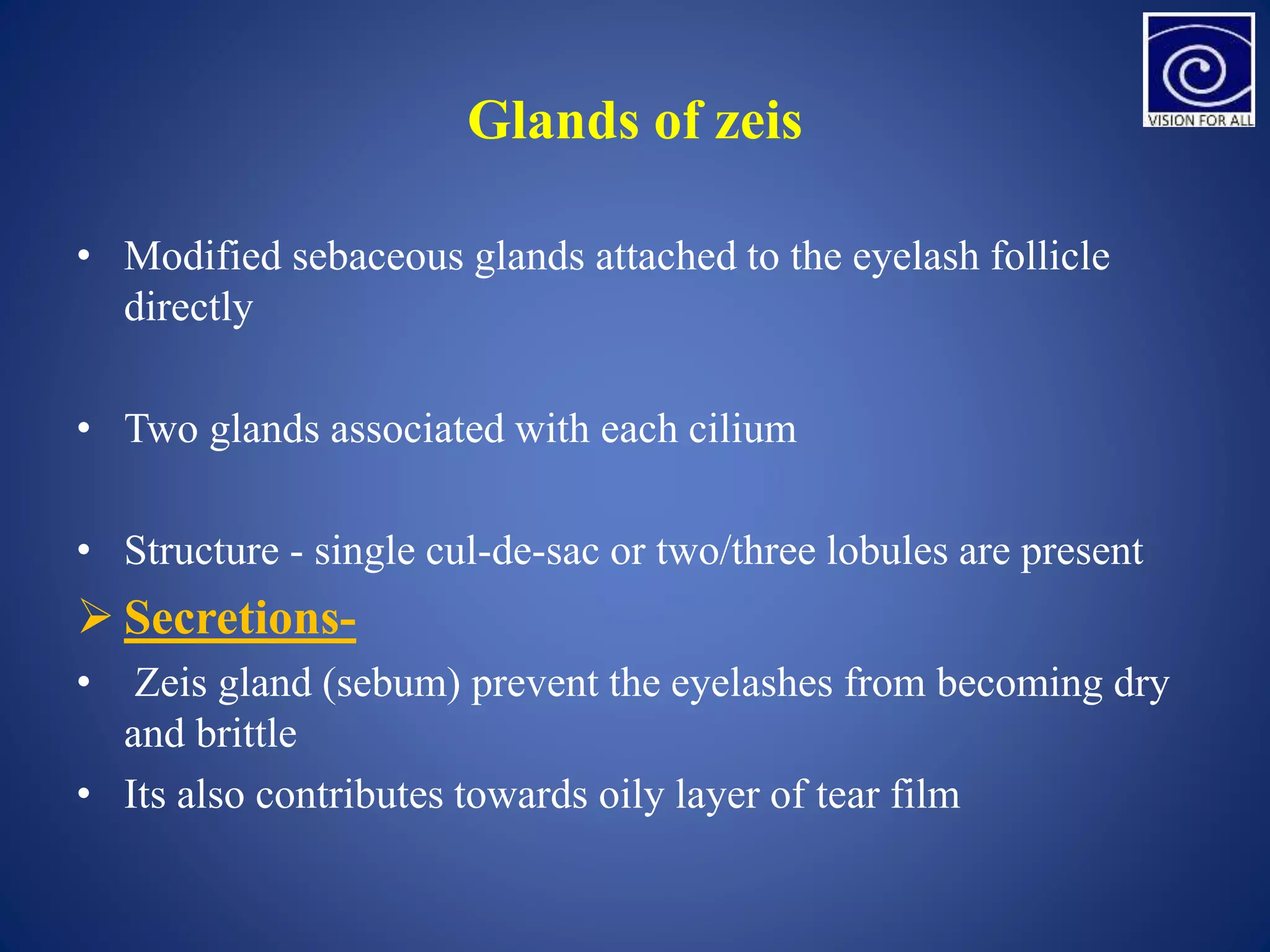 Glands of zeis
• Modified sebaceous glands attached to the eyelash follicle
directly
• Two glands associated with each cilium
• Structure - single cul-de-sac or two/three lobules are present
 Secretions-
• Zeis gland (sebum) prevent the eyelashes from becoming dry
and brittle
• Its also contributes towards oily layer of tear film
 
