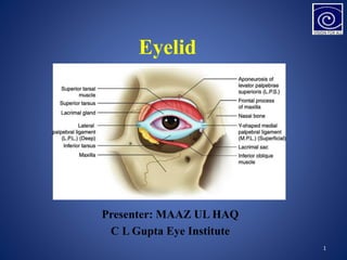 Presenter: MAAZ UL HAQ
C L Gupta Eye Institute
1
Eyelid
 