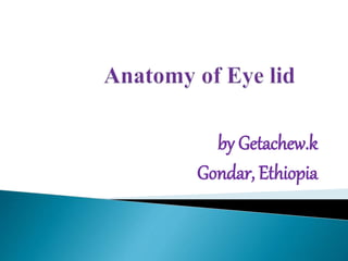 by Getachew.k
Gondar, Ethiopia
 