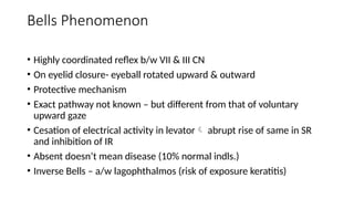 Bell's Reflex eyelid anatomy and applied clinical aspects | PPTX