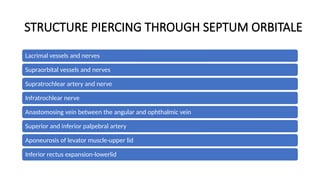 eyelid anatomy and applied clinical aspects | PPTX