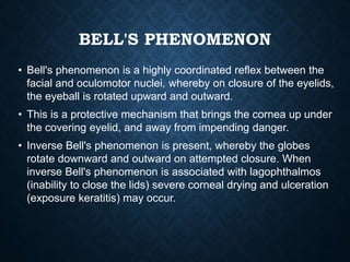 Bell's Reflex EYELID ANATOMY AND PHYSIOLOGY.pptx