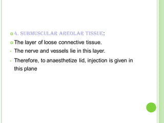 ANATOMY & PHYSIOLOGY OF EYE LID FOR CONTACT LENS FITTING.pdf