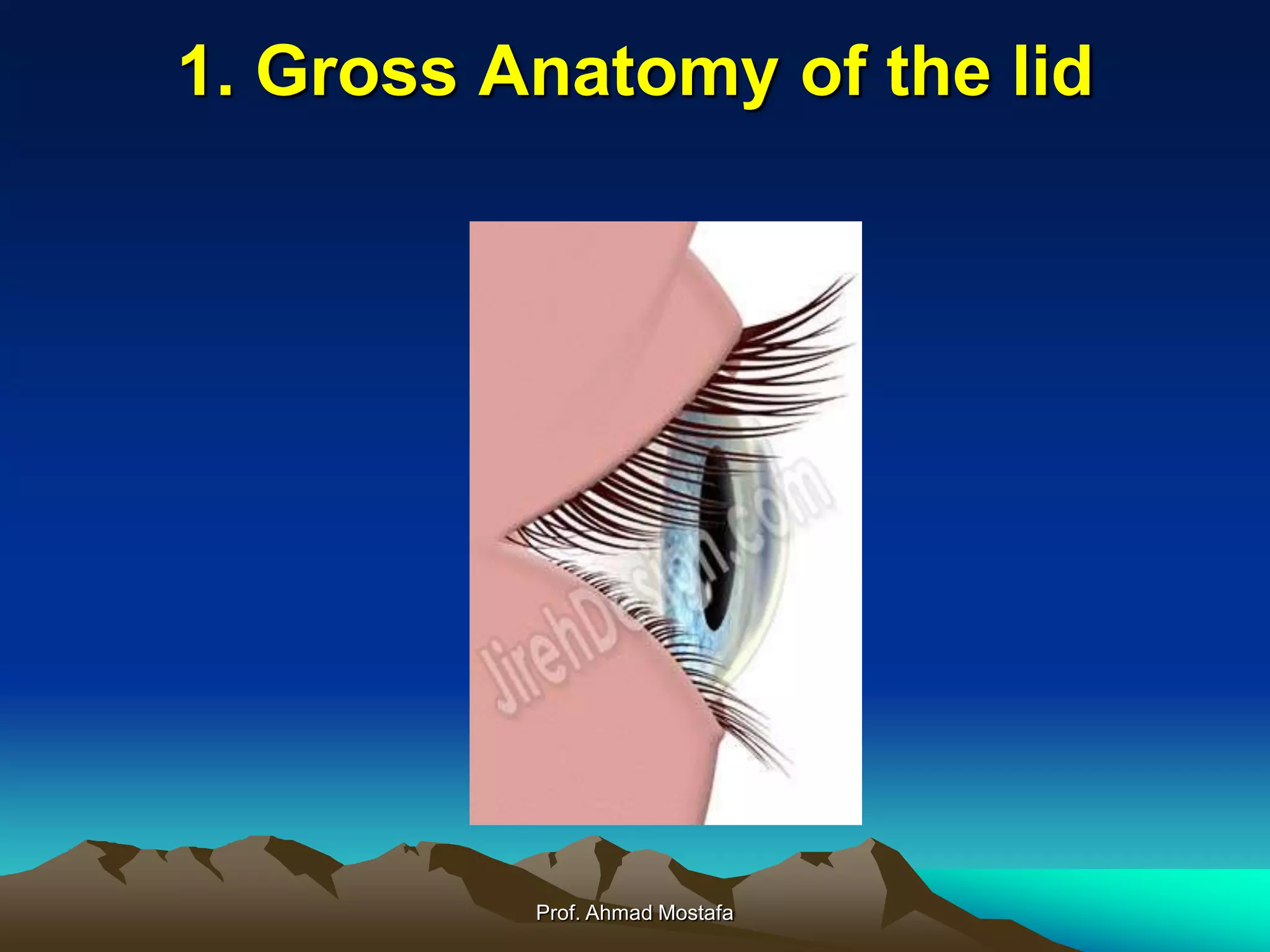 Eyelid disorders | PPT