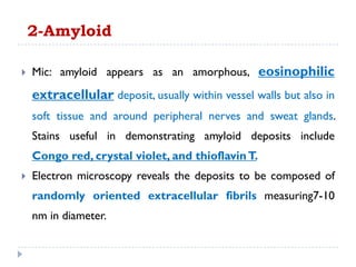  Mic: amyloid appears as an amorphous, eosinophilic
extracellular deposit, usually within vessel walls but also in
soft tissue and around peripheral nerves and sweat glands.
Stains useful in demonstrating amyloid deposits include
Congo red, crystal violet, and thioflavinT.
 Electron microscopy reveals the deposits to be composed of
randomly oriented extracellular fibrils measuring7-10
nm in diameter.
2-Amyloid
 