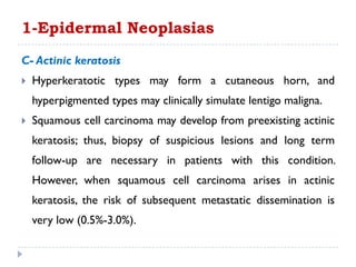 C- Actinic keratosis
 Hyperkeratotic types may form a cutaneous horn, and
hyperpigmented types may clinically simulate lentigo maligna.
 Squamous cell carcinoma may develop from preexisting actinic
keratosis; thus, biopsy of suspicious lesions and long term
follow-up are necessary in patients with this condition.
However, when squamous cell carcinoma arises in actinic
keratosis, the risk of subsequent metastatic dissemination is
very low (0.5%-3.0%).
1-Epidermal Neoplasias
 