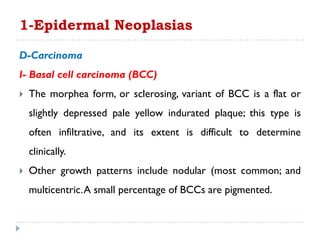 D-Carcinoma
I- Basal cell carcinoma (BCC)
 The morphea form, or sclerosing, variant of BCC is a flat or
slightly depressed pale yellow indurated plaque; this type is
often infiltrative, and its extent is difficult to determine
clinically.
 Other growth patterns include nodular (most common; and
multicentric.A small percentage of BCCs are pigmented.
1-Epidermal Neoplasias
 
