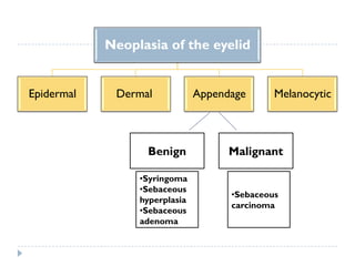 Neoplasia of the eyelid
Epidermal Dermal Appendage Melanocytic
Benign Malignant
•Syringoma
•Sebaceous
hyperplasia
•Sebaceous
adenoma
•Sebaceous
carcinoma
 