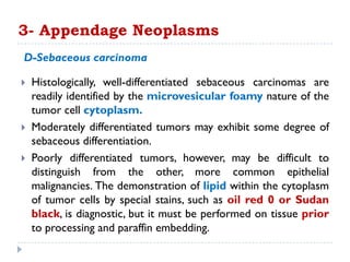  Histologically, well-differentiated sebaceous carcinomas are
readily identified by the microvesicular foamy nature of the
tumor cell cytoplasm.
 Moderately differentiated tumors may exhibit some degree of
sebaceous differentiation.
 Poorly differentiated tumors, however, may be difficult to
distinguish from the other, more common epithelial
malignancies. The demonstration of lipid within the cytoplasm
of tumor cells by special stains, such as oil red 0 or Sudan
black, is diagnostic, but it must be performed on tissue prior
to processing and paraffin embedding.
3- Appendage Neoplasms
D-Sebaceous carcinoma
 
