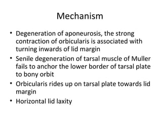 Mechanism
• Degeneration of aponeurosis, the strong
  contraction of orbicularis is associated with
  turning inwards of lid margin
• Senile degeneration of tarsal muscle of Muller
  fails to anchor the lower border of tarsal plate
  to bony orbit
• Orbicularis rides up on tarsal plate towards lid
  margin
• Horizontal lid laxity
 