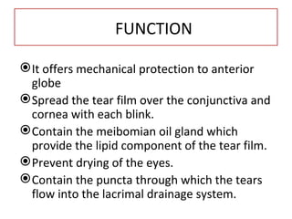 FUNCTION

 It offers mechanical protection to anterior
  globe
 Spread the tear film over the conjunctiva and
  cornea with each blink.
 Contain the meibomian oil gland which
  provide the lipid component of the tear film.
 Prevent drying of the eyes.
 Contain the puncta through which the tears
  flow into the lacrimal drainage system.
 