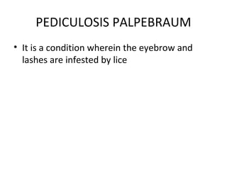 PEDICULOSIS PALPEBRAUM
• It is a condition wherein the eyebrow and
  lashes are infested by lice
 