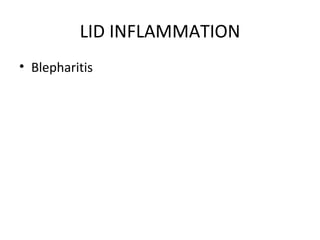 LID INFLAMMATION
• Blepharitis
 