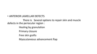 • ANTERIOR LAMELLAR DEFECTS
There is Several options to repair skin and muscle
defects in the periocular region :
Healing by granulation
Primary closure
Free skin grafts
Myocutaneous advancement flap
 