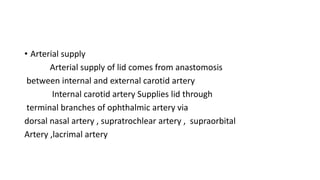 • Arterial supply
Arterial supply of lid comes from anastomosis
between internal and external carotid artery
Internal carotid artery Supplies lid through
terminal branches of ophthalmic artery via
dorsal nasal artery , supratrochlear artery , supraorbital
Artery ,lacrimal artery
 