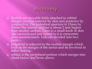  Eyelids are movable folds attached to orbital
margin covered anterior by skin and posterior by
conjunctiva .The palpebral aperture is 12mm by
30mm.The lateral canthus is about 2 mm higher
than medial canthus.There is a small knob of skin
,the caruncle,and just lateral to it is crescentric
plica semicircularis. Lids are divided into two
parts :-
 palpebral is adjacent to the eyelids margin which
ends at the margin of the tarsus and its involved in
reflex linking .
 orbital is the peripheral portion which merges into
cheek below and brow above .
 