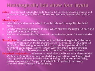 skin :- the thinnest skin in the body (elastic ).It is smooth,having creases and
without any long hair.The subcutaneous tisseue is loose areolar without
fat.
Muscle layer :-
 orbicularis oculi muscle which close the lids and its supplied by facial
nerve .
 Levator palpebrae superioris muscle which elevates the upper lid only and
supplied by occulomotor n.
 Mullers muscle supplied by cervical sympathetic system & it elevates the
lids.
Tarsal plate is consist of fibers tissue contain Meibomian glands (sebaceous
gland ) which open in the lid margin .Its 30- 40 opening in the upper lid
but its 20 – 30 opening in lower lid .Lid margin is separates skin from
palpebral conjunctiva .Lateral 5/6 is with eyelashes (ciliary portion
).Medial 1/6 is without eyelashes but it contain Lacrimal punctum.
Palpebral conjunctiva :- adherent to tarsal plate and it has four glands which
Meibomian(modified sebaceous glad & oily secretion) , moll (modified
sweat gland and open into the ducts of Zeis gland or into the follicle),
zeis(sebaceous gland & open in the follicle of eye lash), accessory
Lacrimal glands(Krause & Woulfring).
 