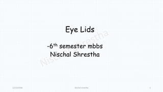 Eye Lids
-6th semester mbbs
Nischal Shrestha
12/13/2018 Nischal shrestha 1
 