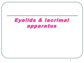 1
Eyelids & lacrimal
apparatus
 