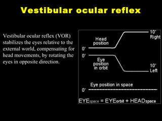 Normal Vor Eye movements - Anatomy, Physiology, Clinical Applications | PPT