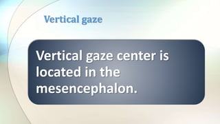 Vertical gaze center is
located in the
mesencephalon.
Vertical gaze
 