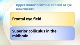 Frontal eye field
Superior colliculus in the
midbrain
Upper motor neuronal control of eye
movements
 