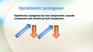 • Optokinetic nystagmus has two components: saccade
component and smooth pursuit component.
Optokinetic nystagmus
Saccade
Saccade
 