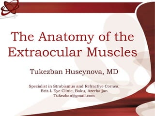 The Anatomy of the
Extraocular Muscles
Tukezban Huseynova, MD
Specialist in Strabismus and Refractive Cornea,
Briz-L Eye Clinic, Baku, Azerbaijan
Tukezban@gmail.com
 