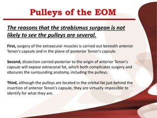 Pulleys of the EOM
The reasons that the strabismus surgeon is not
likely to see the pulleys are several.
First, surgery of the extraocular muscles is carried out beneath anterior
Tenon's capsule and in the plane of posterior Tenon's capsule.
Second, dissection carried posterior to the origin of anterior Tenon's
capsule will expose extraconal fat, which both complicates surgery and
obscures the surrounding anatomy, including the pulleys.
Third, although the pulleys are located in the orbital fat just behind the
insertion of anterior Tenon's capsule, they are virtually impossible to
identify for what they are.
 