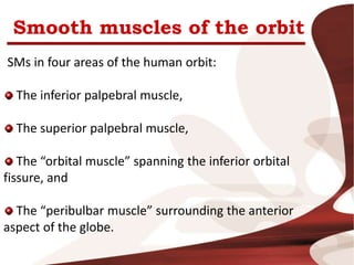 Smooth muscles of the orbit
SMs in four areas of the human orbit:
The inferior palpebral muscle,
The superior palpebral muscle,
The “orbital muscle” spanning the inferior orbital
fissure, and
The “peribulbar muscle” surrounding the anterior
aspect of the globe.
 