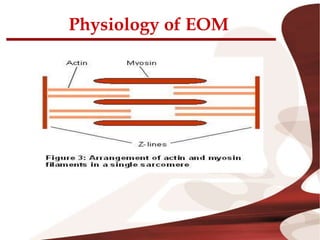 Physiology of EOM
 