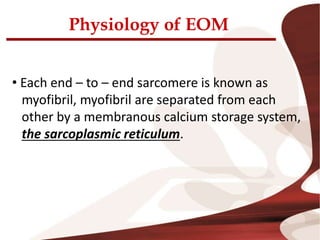 Physiology of EOM
• Each end – to – end sarcomere is known as
myofibril, myofibril are separated from each
other by a membranous calcium storage system,
the sarcoplasmic reticulum.
 