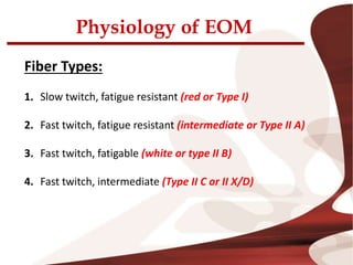 Physiology of EOM
Fiber Types:
1. Slow twitch, fatigue resistant (red or Type I)
2. Fast twitch, fatigue resistant (intermediate or Type II A)
3. Fast twitch, fatigable (white or type II B)
4. Fast twitch, intermediate (Type II C or II X/D)
 