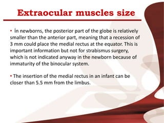 Extraocular muscles size
• İn newborns, the posterior part of the globe is relatively
smaller than the anterior part, meaning that a recession of
3 mm could place the medial rectus at the equator. This is
important information but not for strabismus surgery,
which is not indicated anyway in the newborn because of
immaturity of the binocular system.
• The insertion of the medial rectus in an infant can be
closer than 5.5 mm from the limbus.
 